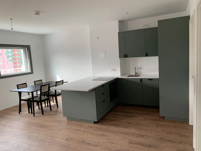 Sunny, modern penthouse with kitchen / Sonniges, modernes Penthouse mit EBK — photo 1